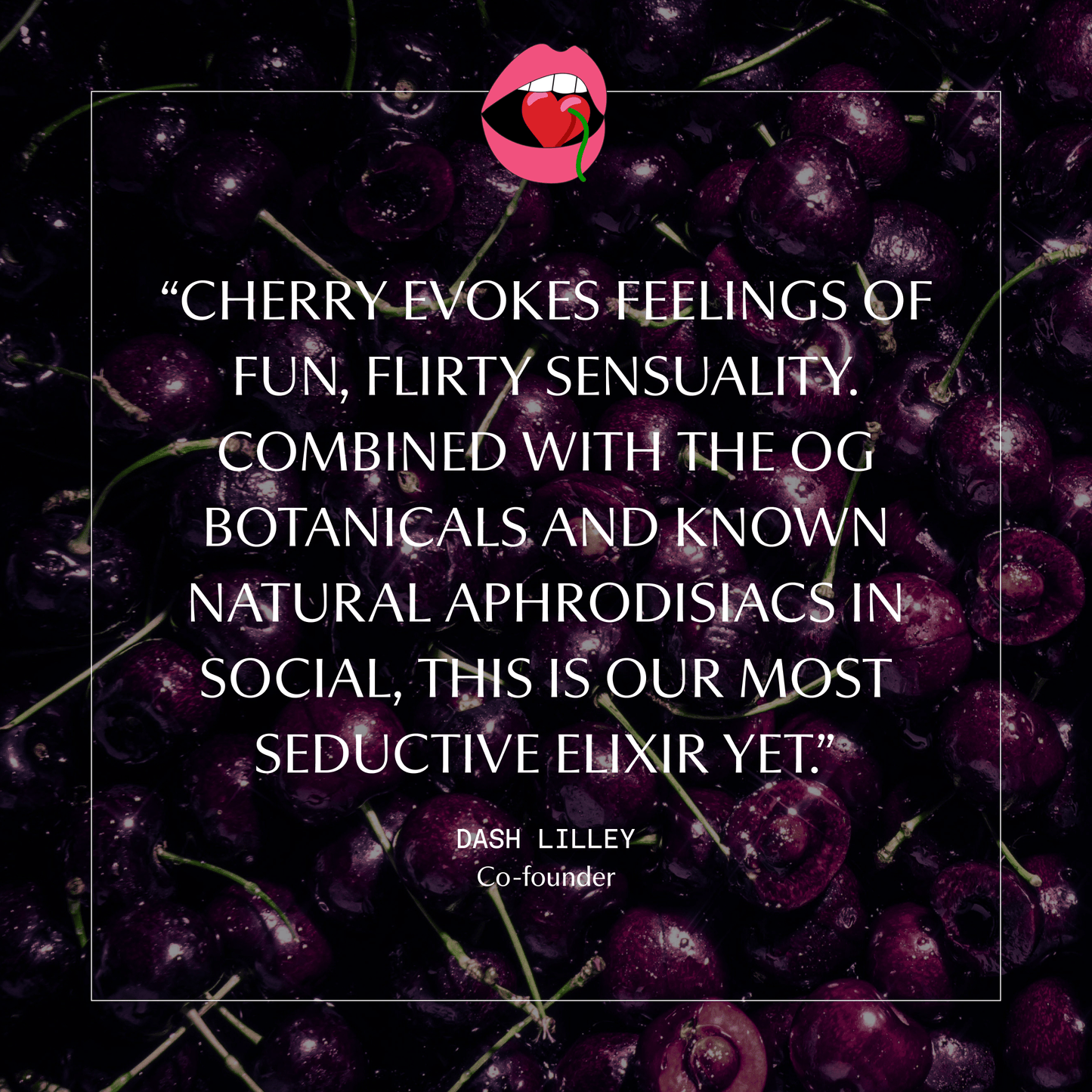 Cherry Love Social XXX • LIMITED EDITION Non-Alcoholic Botanical Elixir