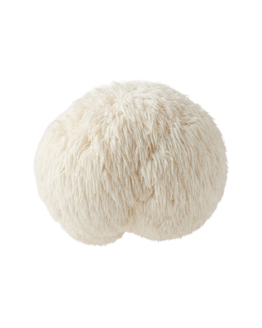 Lion's Mane