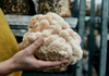 Why we use Lion's Mane mushroom