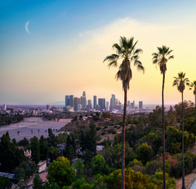 The sober curious guide to California