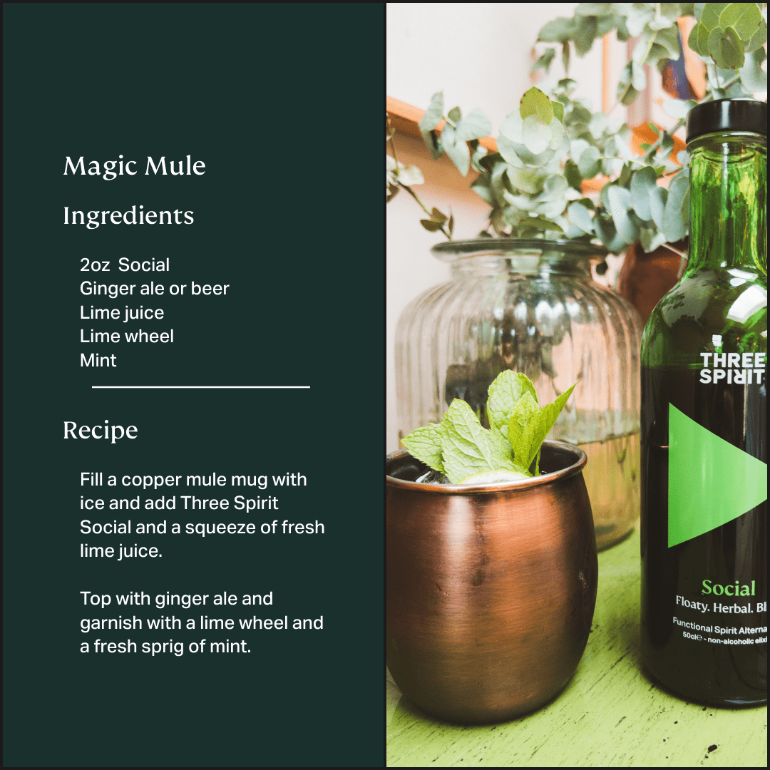 Social • Non-Alcoholic Botanical Elixir • The Mood Maker