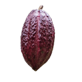 Cacao