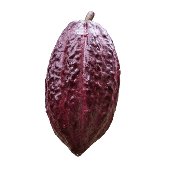 Cacao