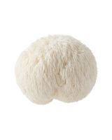 Lion's Mane
