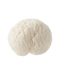 ing lions mane