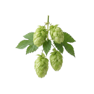 Mosaic Hops